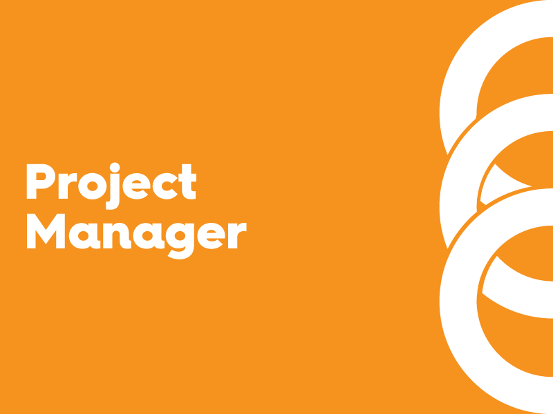 Project Manager 